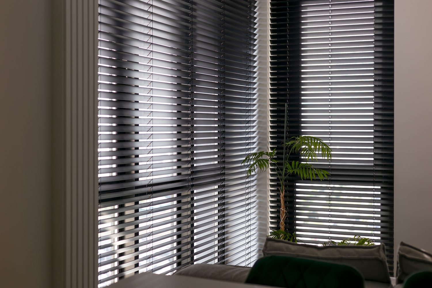 Ein Fenster mit geschlossenen Jalousien und einer grünen Pflanze im Inneren